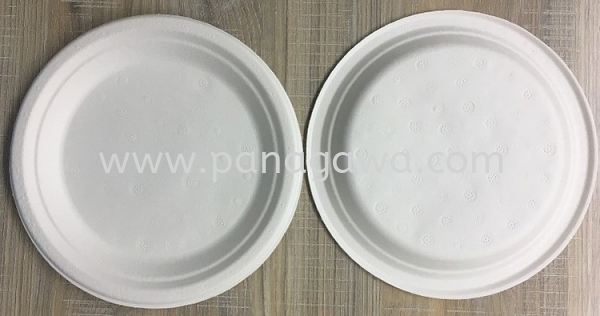 B-P013M Bagasse Plate Biodegradable Johor Bahru (JB), Malaysia Manufacturer, Supplier, Provider, Distributor  | Panagawa Sdn. Bhd.