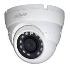 DAHUA 2MP HDCVI IR EYEBALL CAMERA (T1A21)