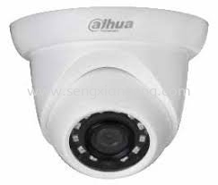 DAHUA 2MP IR EYEBALL NETWORK CAMERA (DH-IPC-SE125)