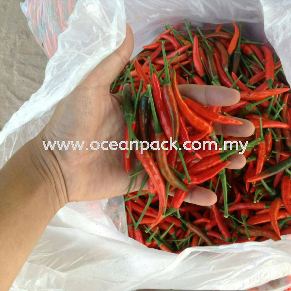 Chili Api Merah CHILI Selangor, Malaysia, Kuala Lumpur (KL), Rawang Supplier, Suppliers, Supply, Supplies | Ocean Packaging Sdn Bhd