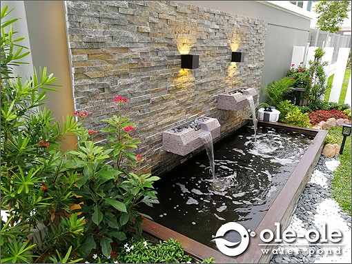 ECOP19.Water Ponds Malaysia.Kolam Ikan.Hiasan.Johor.Fengshui.Garden.Koi fish.Landscape.风水池.园艺.鱼池