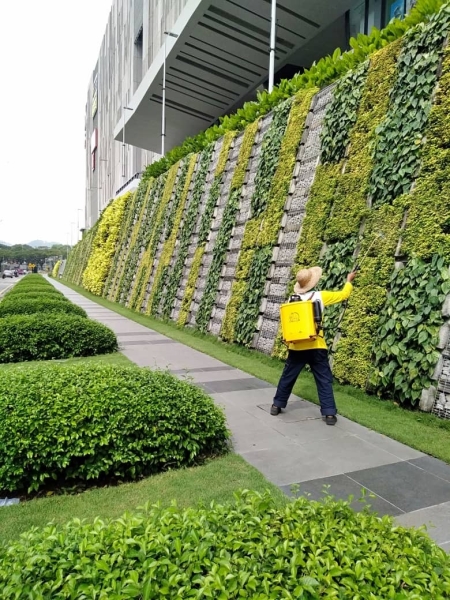 Pest Control Pest Control Landscape Maintenance  Kuala Lumpur (KL), Malaysia, Selangor, Johor Bahru (JB), Damansara, Bukit Indah Services, Projects | Ecogarden Landscape Sdn Bhd