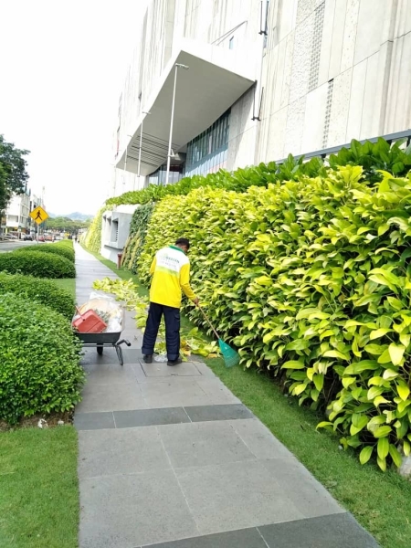 Clearing Dried Leaves Clearing Dried Leaves Landscape Maintenance  Kuala Lumpur (KL), Malaysia, Selangor, Johor Bahru (JB), Damansara, Bukit Indah Services, Projects | Ecogarden Landscape Sdn Bhd