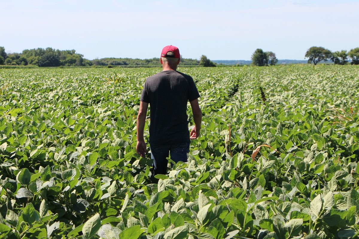 China Says It Has Stopped Buying US Farm Goods