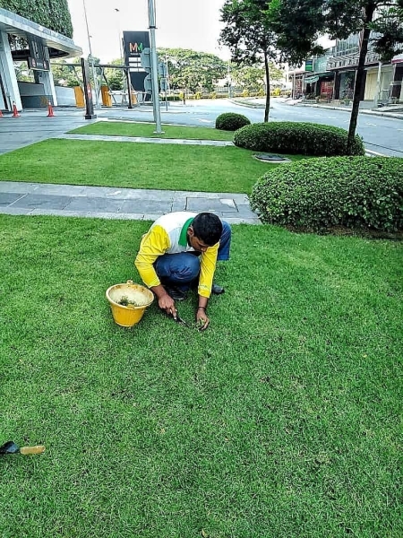 Weeding Weeding Landscape Maintenance  Kuala Lumpur (KL), Malaysia, Selangor, Johor Bahru (JB), Damansara, Bukit Indah Services, Projects | Ecogarden Landscape Sdn Bhd