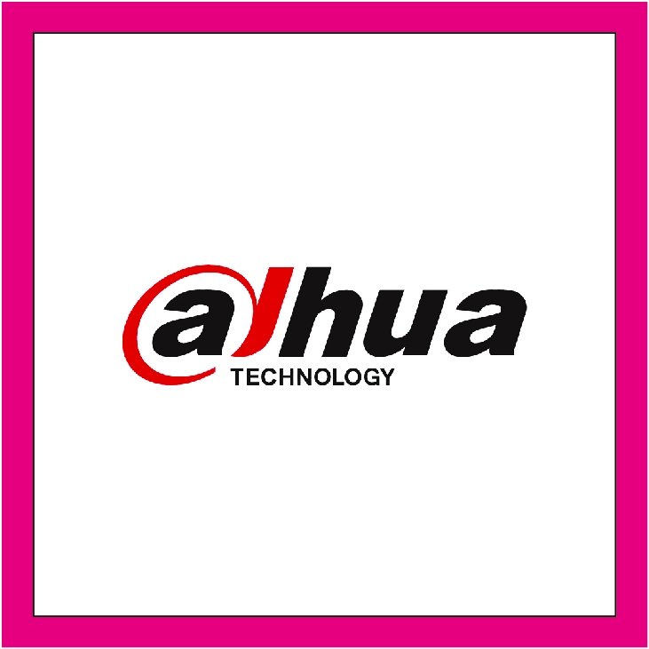 Dahua Security