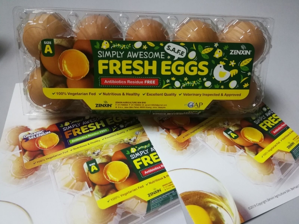  Eggs Product SP Products  Johor Bahru (JB), Johor, Skudai Supplier, Suppliers, Supply, Supplies | 123Buy