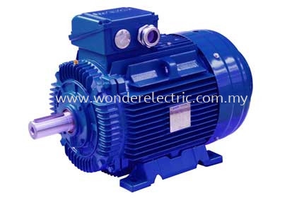SSWE (IE4) SSWE Super-premium Asynchronous Motors IEC Series AC Motors Selangor, Malaysia, Kuala Lumpur (KL), Singapore, Puchong Supplier, Suppliers, Supply, Supplies | Wonder Electric Motor (M) Sdn Bhd