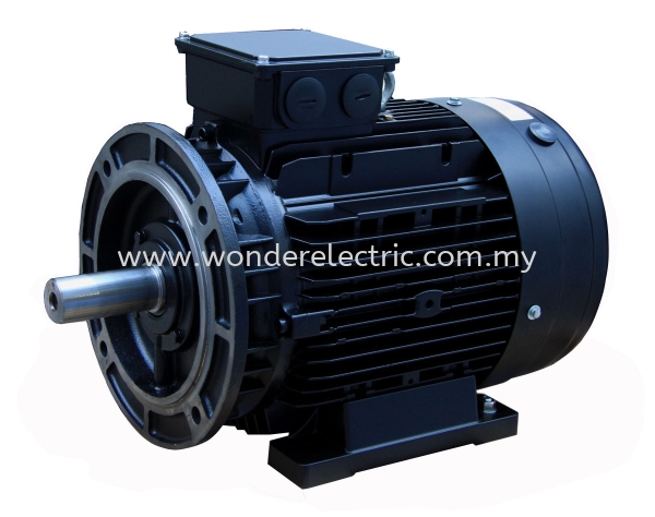 SSWE (IE4) SSWEA Super-premium Asynchronous Motor IEC Series AC Motors Selangor, Malaysia, Kuala Lumpur (KL), Singapore, Puchong Supplier, Suppliers, Supply, Supplies | Wonder Electric Motor (M) Sdn Bhd