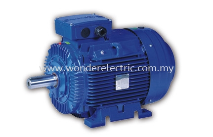 WE (IE2) High Efficiency Asynchronous Cast Iron Motors IEC Series AC Motors Selangor, Malaysia, Kuala Lumpur (KL), Singapore, Puchong Supplier, Suppliers, Supply, Supplies | Wonder Electric Motor (M) Sdn Bhd