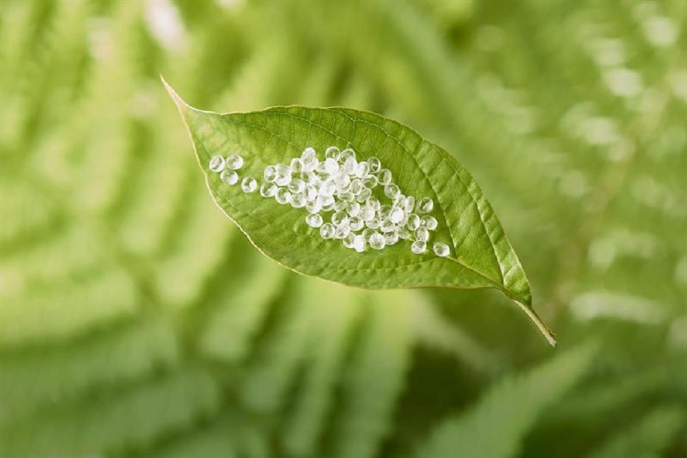 How Will Bio-Based Products Affect the Manufacturing Industry?