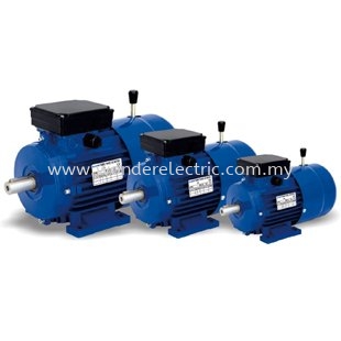 MSEJ Series TEFC Electromagnetic Braking Motors IEC Series AC Motors Selangor, Malaysia, Kuala Lumpur (KL), Singapore, Puchong Supplier, Suppliers, Supply, Supplies | Wonder Electric Motor (M) Sdn Bhd