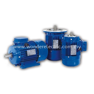 MS SERIES THREE PHASE STANDARD EFFICIENCY ALUMINUM INDUCTION MOTORS IEC Series AC Motors Selangor, Malaysia, Kuala Lumpur (KL), Singapore, Puchong Supplier, Suppliers, Supply, Supplies | Wonder Electric Motor (M) Sdn Bhd