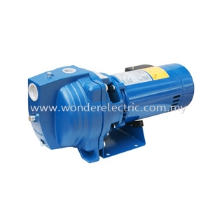 WAS5/WAS7/WAS10/WAS15 Centrifugal Pump Water Pump Series Selangor, Malaysia, Kuala Lumpur (KL), Singapore, Puchong Supplier, Suppliers, Supply, Supplies | Wonder Electric Motor (M) Sdn Bhd