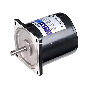 AC Induction Motor 6W