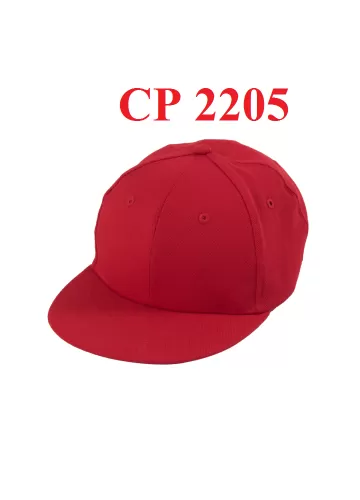CP 2205