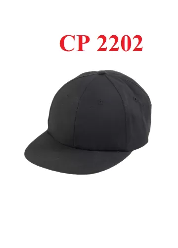 CP 2202