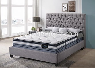 Honey Premium Max Mattress