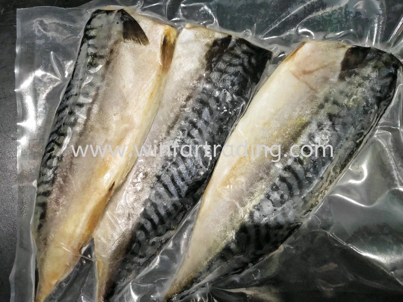 NORWAY SABA MACKEREL FILLET