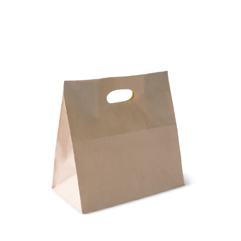 Paper D Bag