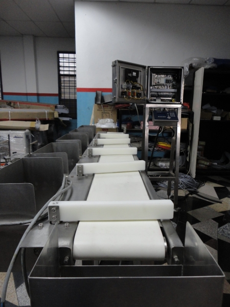 Food Industrial Sorting Conveyor System Sorting Conveyor System Conveyor Malaysia, Melaka Supplier, Suppliers, Supply, Supplies | EMS Automation Sdn Bhd