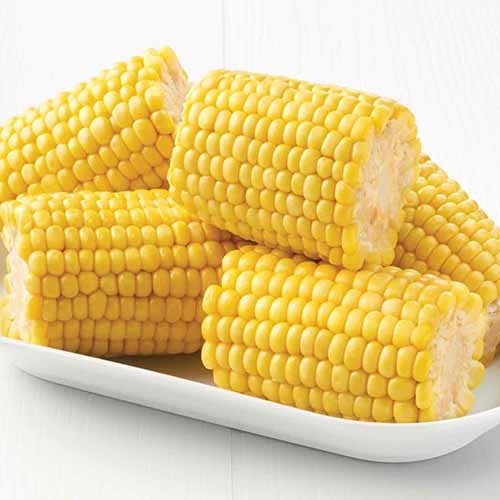 Corn On Cob 5'' Other Products Selangor, Malaysia, Kuala Lumpur (KL), Shah Alam Supplier, Importer, Exporter, Supply | Sime Jaya Sdn Bhd