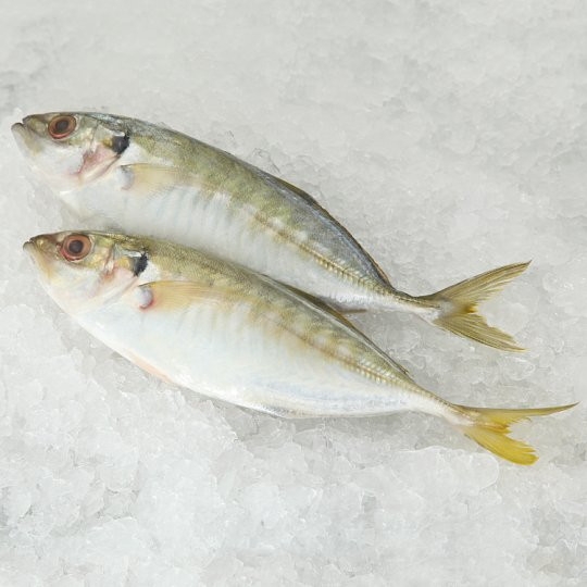 Selar Fish & Fillet Frozen Seafood Selangor, Malaysia, Kuala Lumpur (KL), Batu Caves Supplier, Suppliers, Supply, Supplies | Ptwo Marketing Sdn Bhd