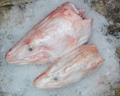 Ling Fish Head Fish & Fillet Frozen Seafood Selangor, Malaysia, Kuala Lumpur (KL), Batu Caves Supplier, Suppliers, Supply, Supplies | Ptwo Marketing Sdn Bhd