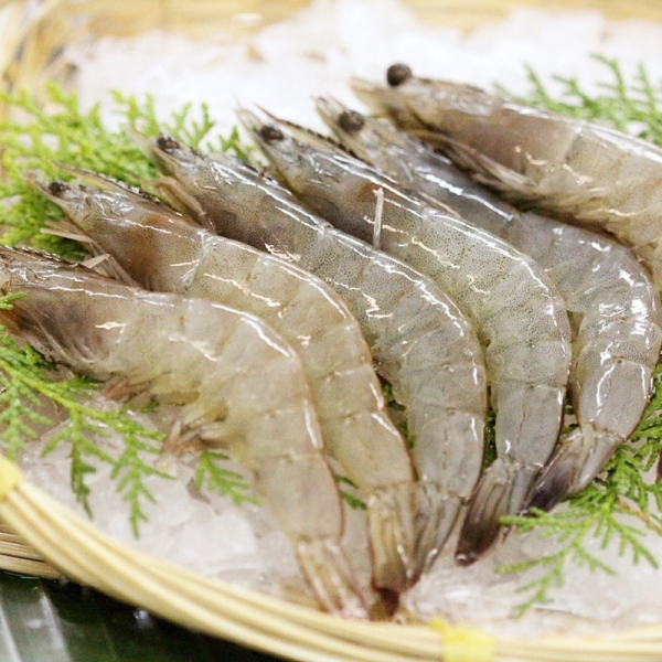 Vannamei Prawn Prawn Frozen Seafood Selangor, Malaysia, Kuala Lumpur (KL), Batu Caves Supplier, Suppliers, Supply, Supplies | Ptwo Marketing Sdn Bhd