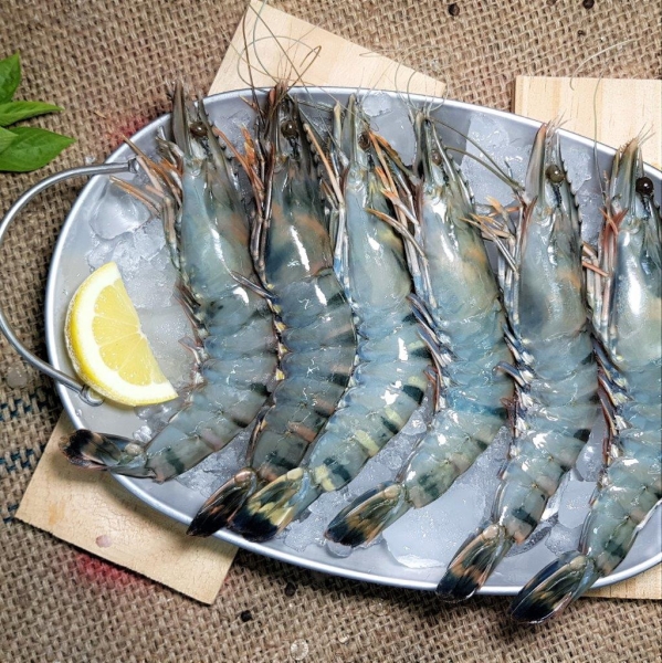 Black Tiger Prawn Prawn Frozen Seafood Selangor, Malaysia, Kuala Lumpur (KL), Batu Caves Supplier, Suppliers, Supply, Supplies | Ptwo Marketing Sdn Bhd