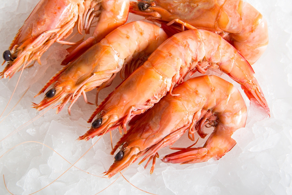 Cooked Prawn Prawn Frozen Seafood Selangor, Malaysia, Kuala Lumpur (KL),  Batu Caves Supplier, Suppliers, Supply, Supplies