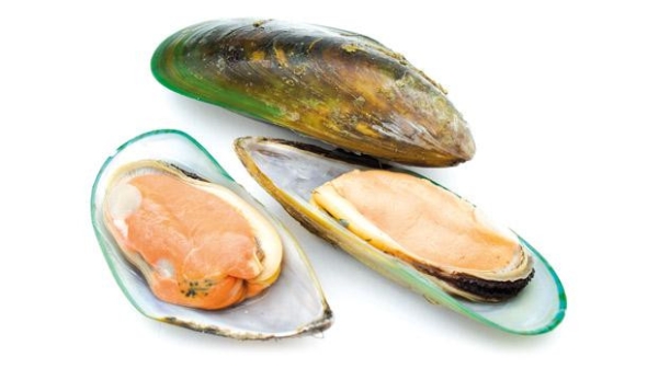 Green Mussel Shell Products Frozen Seafood Selangor, Malaysia, Kuala Lumpur (KL), Batu Caves Supplier, Suppliers, Supply, Supplies | Ptwo Marketing Sdn Bhd