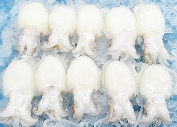 Baby Cuttlefish Squid Frozen Seafood Selangor, Malaysia, Kuala Lumpur (KL), Batu Caves Supplier, Suppliers, Supply, Supplies | Ptwo Marketing Sdn Bhd