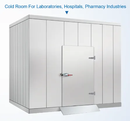 Blast Freezer/Cold Room