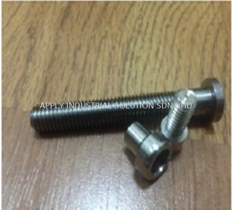 Customised Screw