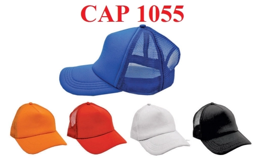 CAP 1055