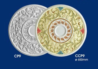 CP9 & CCP9