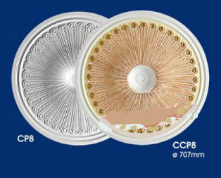 CP8 & CCP8