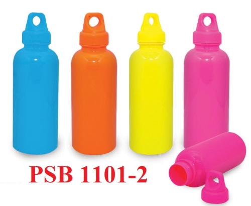 PSB 1101-2