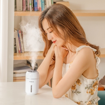 Household Humidifier Air Purifying Mist Maker GXZ-J630