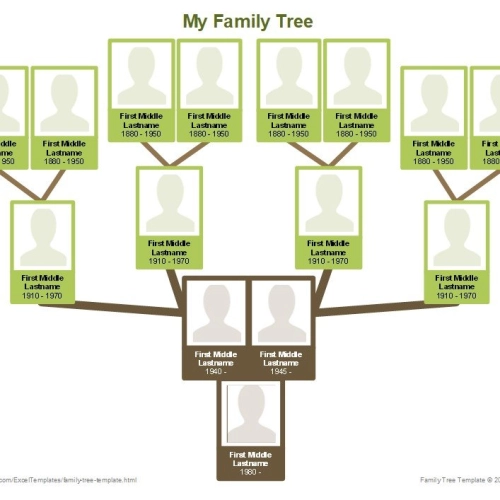 Family Tree