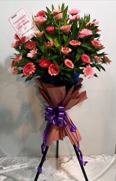 Congratulations Arrangement (CA-220) Grand Opening Flower Arrangement Congratulations Arrangement Kuala Lumpur (KL), Selangor, Malaysia Supplier, Suppliers, Supply, Supplies | Shirley Florist