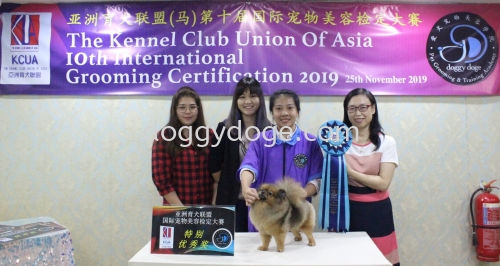 C Zhi Yee ͬѧ Ž  Excellent Award 2019