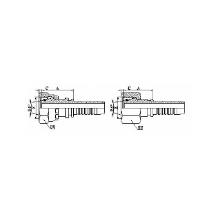 806 Metric Female 24 Cone O-Ring L.T. Hydraulic Fitting Malaysia, Selangor, Kuala Lumpur (KL), Puchong Supplier, Manufacturer, Supply, Supplies | ST Hydraulic & Engineering Sdn Bhd