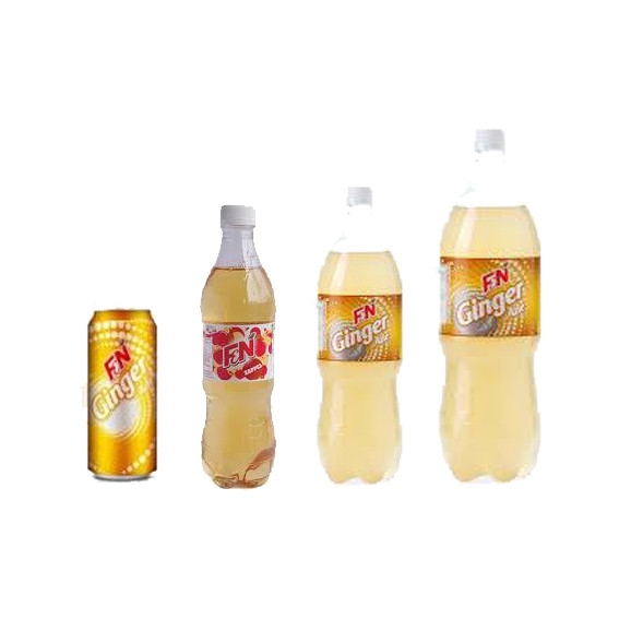 F&N Ginger Ale F & N Fun Flavours F & N Company Johor Bahru (JB), Malaysia, Mount Austin Supplier, Wholesaler, Distributor, Supplies | Hao Ji Agency