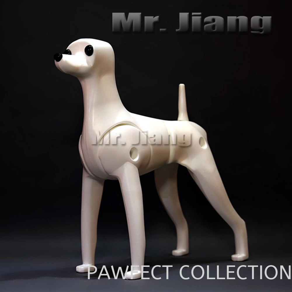 Mr. Jiang Teddy Mannequin / Model Dog