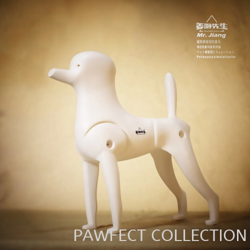 Mr. Jiang Poodle Clip Mannequin / Model Dog