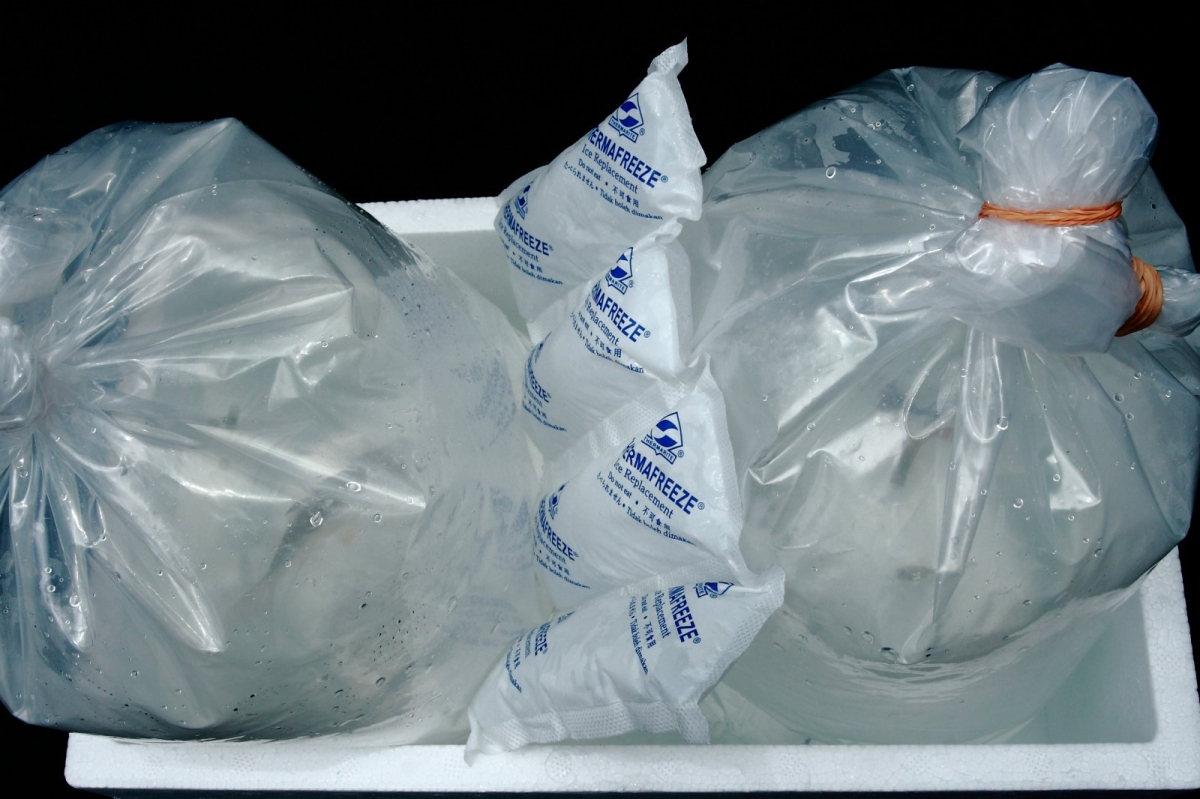 Live Fish Packing Thermafreeze ® Gel Ice Malaysia, Selangor, Kuala
