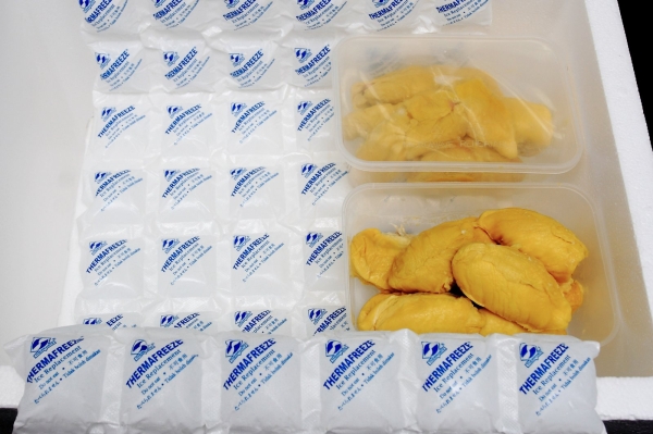 Chilled Durian Export Packing Thermafreeze ® Gel Ice Malaysia, Selangor, Kuala Lumpur (KL), Petaling Jaya (PJ) Manufacturer, Supplier, Supply, Supplies | Thermarite (Malaysia) Sdn Bhd