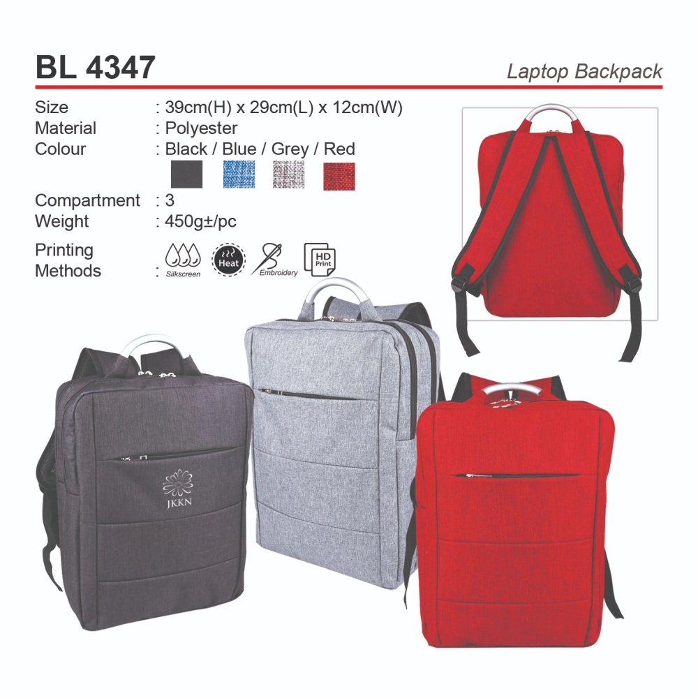 D*BL4347 Laptop Backpack (A)